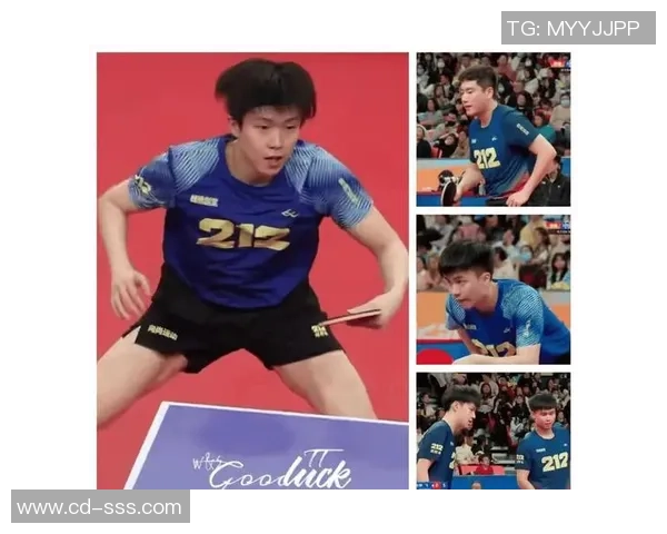 联赛积分榜：成都乒乓球队以85分领跑